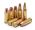 category-icon-ammunition